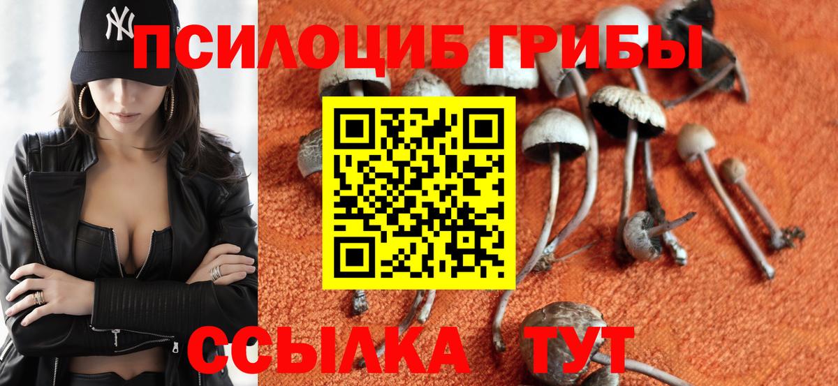 Галлюциногенные грибы Psilocybine cubensis Лиски